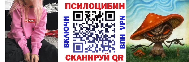 Псилоцибиновые грибы Cubensis Пыталово