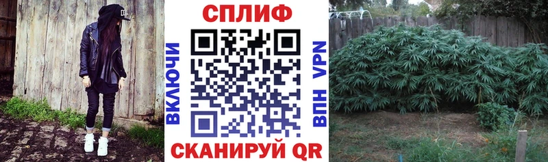 продажа наркотиков  Пыталово  Марихуана Bruce Banner 